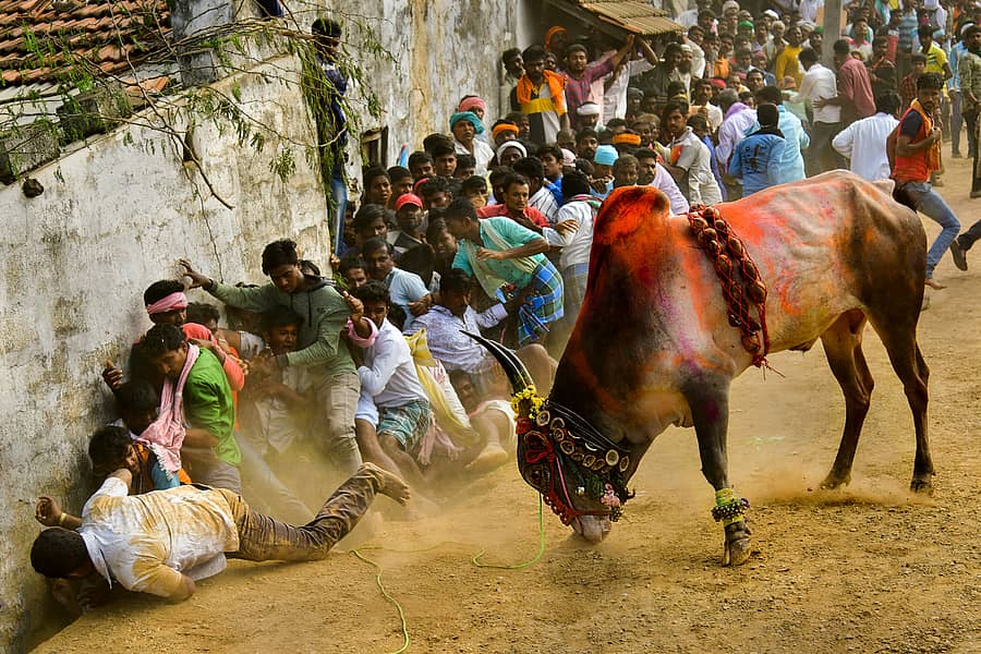 ಪ್ರಶಸ್ತಿ ವಿಜೇತ ʻದಿ ಫೀಯರ್‌ʼ ಶೀರ್ಷಿಕೆಯ ಚಿತ್ರ
