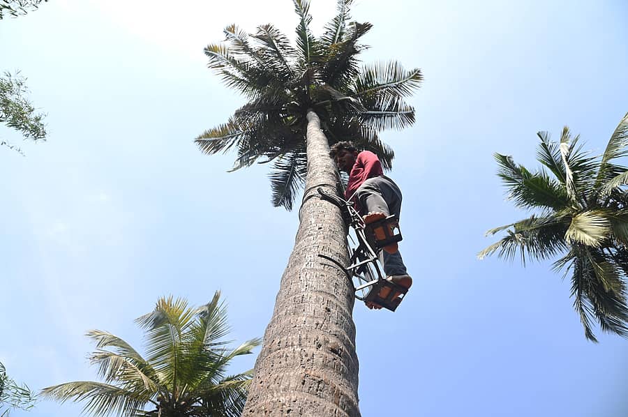 ಸಾಂದರ್ಭಿಕ ಚಿತ್ರ