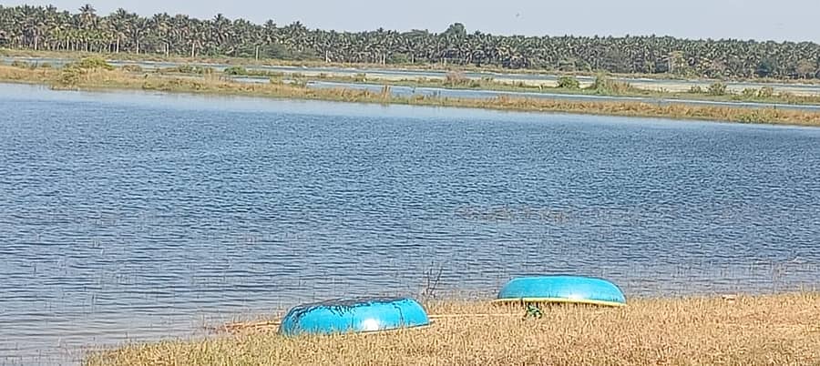 <div class="paragraphs"><p>ಪ್ರಾತಿನಿಧಿಕ ಚಿತ್ರ</p></div>