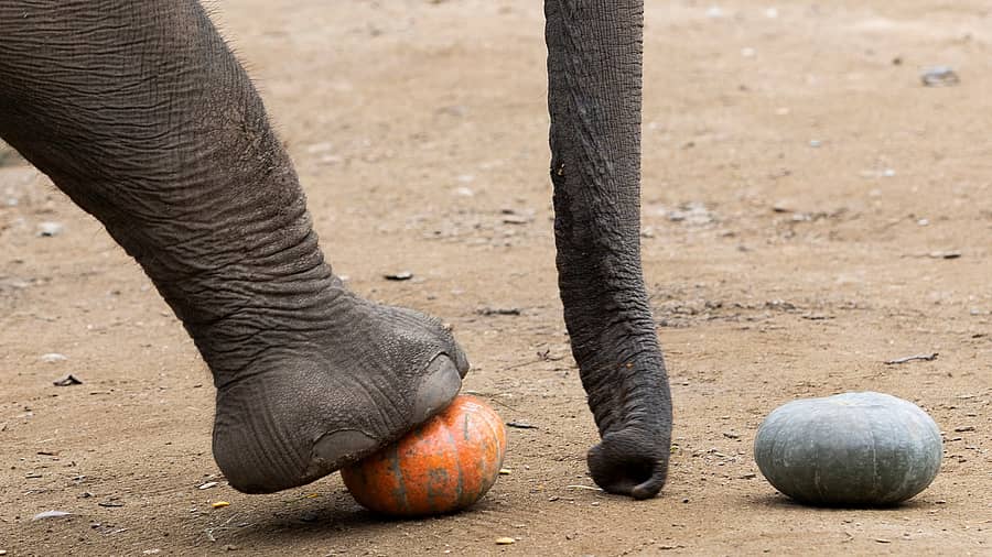 <div class="paragraphs"><p>ಸಾಂದರ್ಭಿಕ ಚಿತ್ರ</p></div>