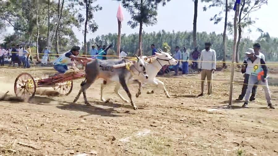 ಕುಶಾಲನಗರ ಸಮೀಪದ ಹಳೆಗೋಟೆಯ ಶ್ರೀ ಬಸವೇಶ್ವರ ಯುವಕರ ಬಳಗದ ವತಿಯಿಂದ ರಾಜ್ಯಮಟ್ಟದ ಗಾಡಿ ಓಟದ ಸ್ಪರ್ಧೆ ನಡೆಯಿತು.