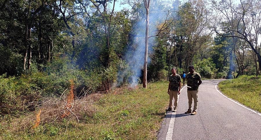 ಯಳಂದೂರು ತಾಲ್ಲೂಕಿನ ಬಿಳಿಗಿರಿಬೆಟ್ಟದ ರಸ್ತೆ ಬದಿ ಅರಣ್ಯ ಇಲಾಖೆ ಸಿಬ್ಬಂದಿ ಬೆಂಕಿ ರೇಖೆ ಎಳೆಯಲು ಸಿದ್ಧತೆ ನಡೆಸಿದರು.