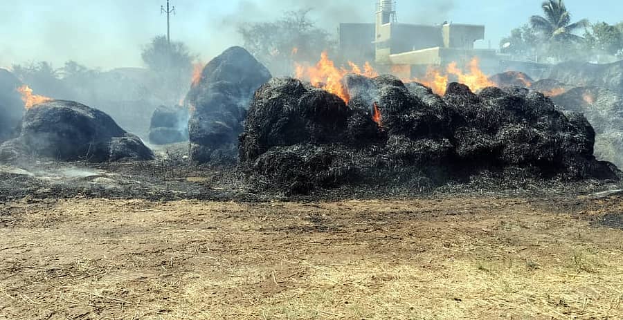 ಶ್ರೀರಂಗಪಟ್ಟಣ ತಾಲ್ಲೂಕಿನ ಅರಕೆರೆ ಗ್ರಾಮದಲ್ಲಿ ಭಾನುವಾರ ಮಧ್ಯಾಹ್ನ ಬೆಂಕಿ ಬಿದ್ದು ಭತ್ತದ ಹುಲ್ಲಿನ ಮೆದೆಗಳು ಸುಟ್ಟು ಭಸ್ಮವಾದವು