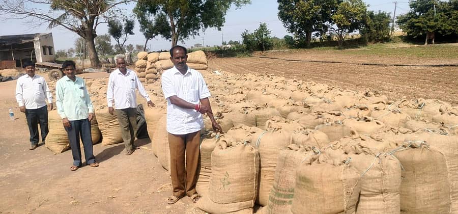 ಲಾಟ್ ನಂಬರ್ಗಾಗಿ ಕಾಯುತ್ತಿರುವ ಲಕ್ಷ್ಮೇಶ್ವರ ತಾಲ್ಲೂಕಿನ ಶಿಗ್ಲಿಯ ಎಣ್ಣೆ ಬೀಜ ಬೆಳೆಗಾರರ ಸಹಕಾರಿ ಸಂಘದ ವತಿಯಿಂದ ಬೆಂಬಲ ಬೆಲೆಯಲ್ಲಿ ಖರೀದಿಸಿದ ಶೇಂಗಾ ಚೀಲಗಳು