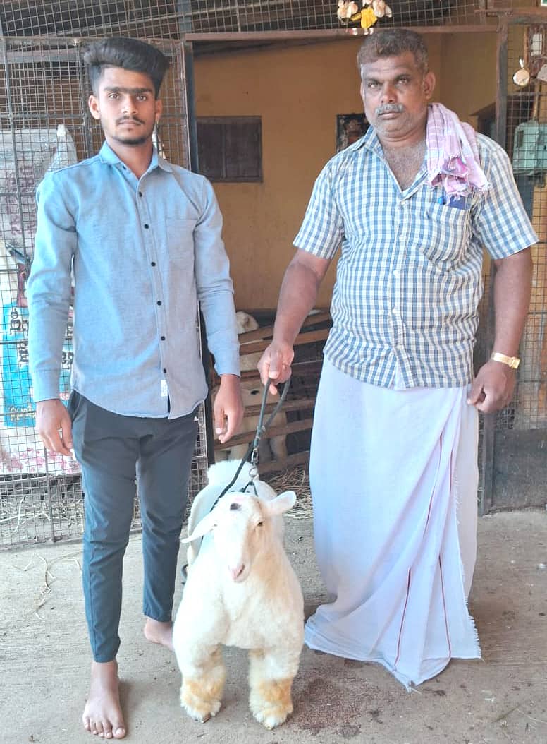 ‘ಬಂಡೂರು’ ಟಗರು ಜೊತೆ ಮಳವಳ್ಳಿ ತಾಲ್ಲೂಕಿನ ಕಿರುಗಾವಲು ಗ್ರಾಮದ ಮನೋಹರ್ ಮತ್ತು ಉಲ್ಲಾಸ್ ಗೌಡ