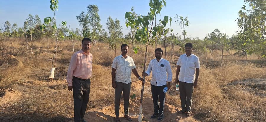 ರಾಯಚೂರು ತಾಲ್ಲೂಕಿನ ಯರಗೇರಾದಲ್ಲಿರುವ ಸಾಮಾಜಿಕ ಅರಣ್ಯ ಇಲಾಖೆಯ ಸಸ್ಯ ಕ್ಷೇತ್ರಕ್ಕೆ  ವನಸಿರಿ ಫೌಂಡೇಷನ್ ಸಂಸ್ಥಾಪಕ ಅಧ್ಯಕ್ಷ ಅಮರೇಗೌಡ ಮಲ್ಲಾಪುರ, ಉಪ ಅರಣ್ಯ ಸಂರಕ್ಷಣಾಧಿಕಾರಿ ಸುರೇಶ ಬಾಬು, ಉಪ ಅರಣ್ಯಾಧಿಕಾರಿ ನಾಗರಾಜ, ವನಸಿರಿ ಫೌಂಡೇಷನ್ ರಾಜ್ಯ ಗೌರವ ಅಧ್ಯಕ್ಷ ಶಂಕರಗೌಡ ಎಲೆಕೊಡ್ಲಿಗಿ ಭೇಟಿ ನೀಡಿ ಪರಿಸೀಲಿಸಿದರು