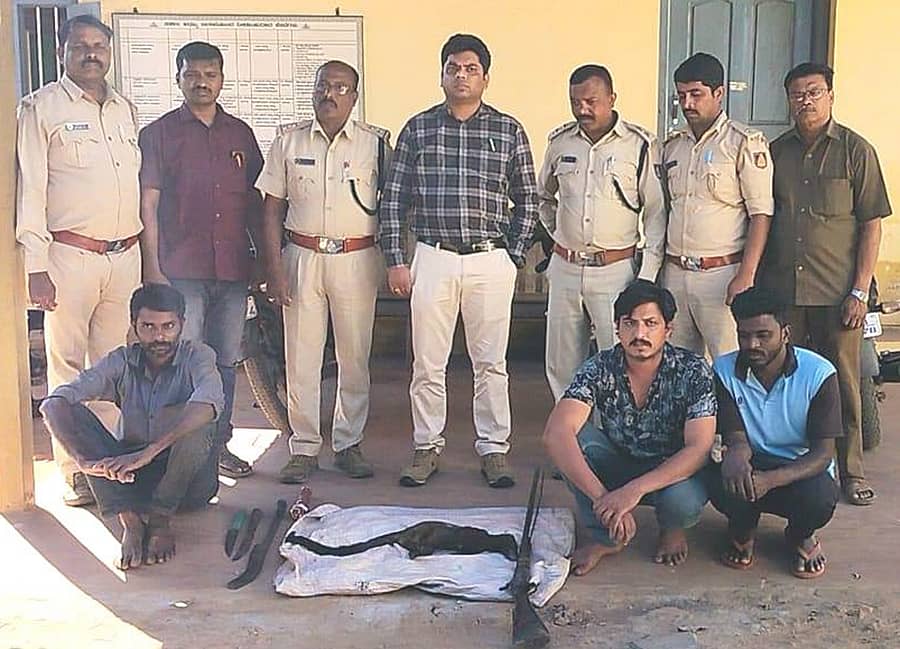ನರಸಿಂಹರಾಜಪುರ ತಾಲ್ಲೂಕು ಕೆ.ಕಣಬೂರು ಗ್ರಾಮದ ಕೊರಲಕೊಪ್ಪದಲ್ಲಿ ಕಬ್ಬೆಕ್ಕು ಶಿಕಾರಿ ಮಾಡಿದ ಆರೋಪದ ಮೇಲೆ ಮೂವರನ್ನು ಅರಣ್ಯ ಇಲಾಖೆಯ ಅಧಿಕಾರಿಗಳು ಶುಕ್ರವಾರ ಬಂಧಿಸಿದ್ದಾರೆ