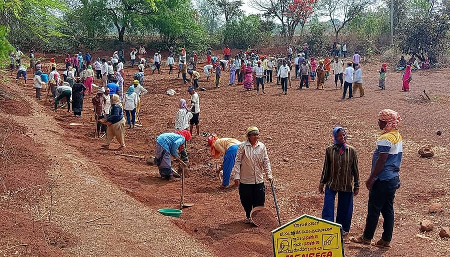 <div class="paragraphs"><p>ನರೇಗಾ ಕಾಮಗಾರಿ</p></div>