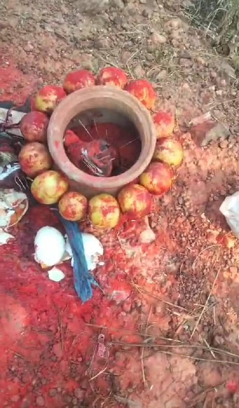 ಶಿಕಾರಿಪುರ ತಾಲ್ಲೂಕು ಭೋಗಿ ಗ್ರಾಮದ ತೋಟದಲ್ಲಿ ಬುಧವಾರ ವಾಮಾಚಾರ ನಡೆಸಿದ ಕುರುಹು ಪತ್ತೆಯಾಗಿರುವುದು