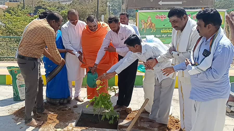 ಗಿಡ ನೆಡುವ ಕಾರ್ಯಕ್ರಮಕ್ಕೆ ಚಾಲನೆ ನೀಡಿದ ಗುರು ಹಿರಿಯರು