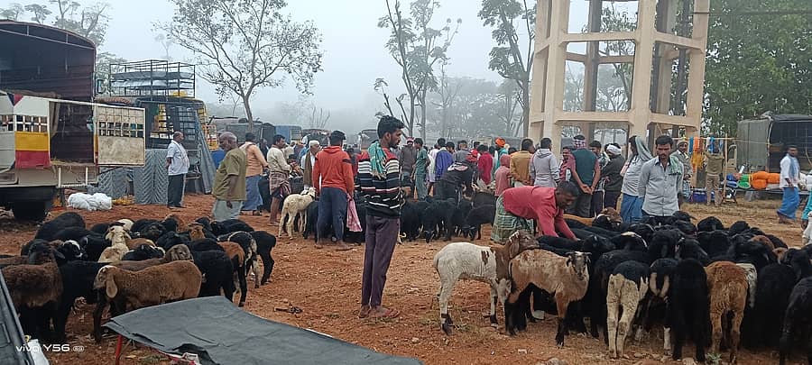 ಹೊನ್ನಾಳಿಯ ತುಂಗಭದ್ರಾ ಬಡಾವಣೆಯಲ್ಲಿರುವ ಪಾರ್ಕ್ಗೆ ಮೀಸಲಿಟ್ಟ 1.22 ಎಕರೆ ಜಾಗದಲ್ಲಿ ಕುರಿ ಮಾರುಕಟ್ಟೆಯನ್ನು ಸ್ಥಳಾಂತರಿಸಿರುವುದು