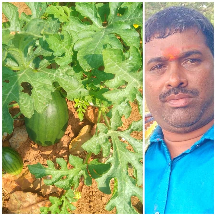 <div class="paragraphs"><p>ಹರೀಶ ನಾಯ್ಕ</p></div>