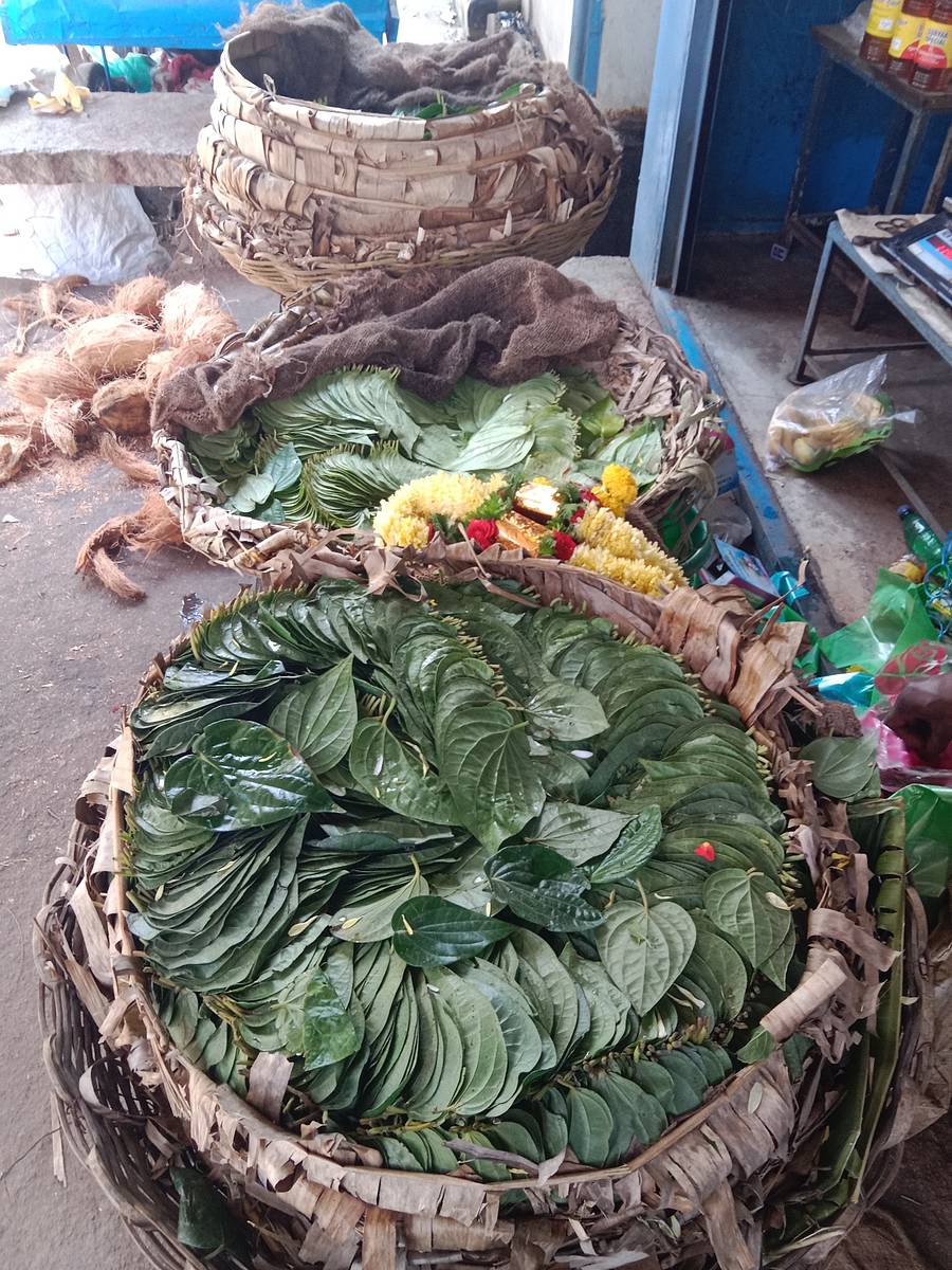 ಅಂಗಡಿಯ ಮುಂದೆ ಮಾರಾಟಕ್ಕೆ ಜೋಡಿಸಿರುವ ಎಲೆ ಪೆಂಡಿ