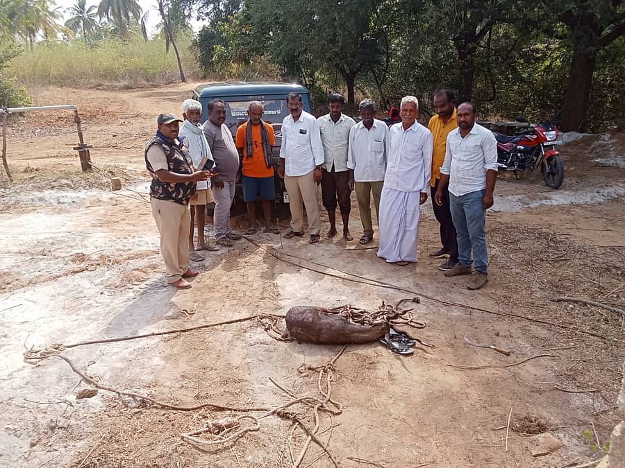 ಗೌರಿಬಿದನೂರು ತಾಲ್ಲೂಕಿನ ನಾಮಗೊಂಡ್ಲು ಗ್ರಾಮದಲ್ಲಿ ಪಾಳು ಬಾವಿಗೆ ಬಿದ್ದ ಜಿಂಕೆ ಮರಿಯನ್ನು ರಕ್ಷಣೆ ಮಾಡಿದ ಅರಣ್ಯ ಇಲಾಖೆ ಸಿಬ್ಬಂದಿ