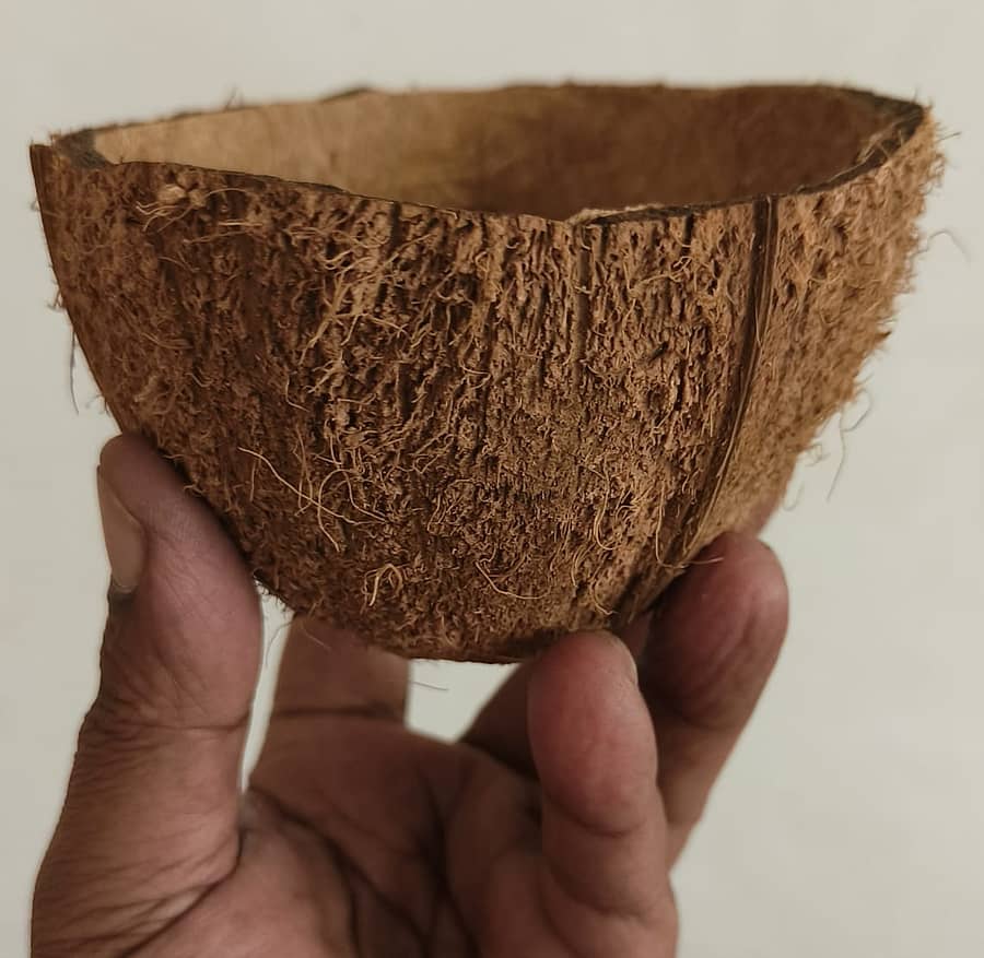 ತೆಂಗಿನಕಾಯಿ ಚಿಪ್ಪು