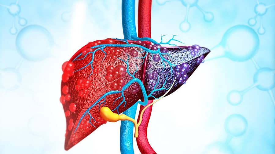 <div class="paragraphs"><p>ಪ್ರಾತಿನಿಧಿಕ ಚಿತ್ರ</p></div>