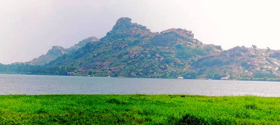 ಪಾಂಡವಪುರ ಪಟ್ಟಣದ ಸಮೀಪವಿರುವ ಹಿರೋಡೆ ಕೆರೆಯ ನೋಟ (ಸಂಗ್ರಹ ಚಿತ್ರ)