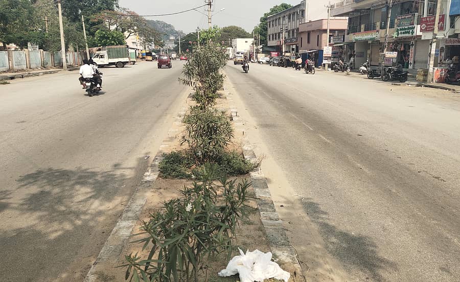 ಬಾಗೇಪಲ್ಲಿ ಪಟ್ಟಣದ ಮುಖ್ಯರಸ್ತೆಯಲ್ಲಿ ಮಧ್ಯಾಹ್ನದ ವೇಳೆಯಲ್ಲಿ ಬಿಸಿಲಿನ ತಾಪಮಾನದಿಂದ ಜನರ ಹಾಗೂ ವಾಹನಗಳ ಸಂಚಾರ ಇಲ್ಲದೇ ಬಿಕೋ ಎನ್ನುತ್ತಿರುವುದು