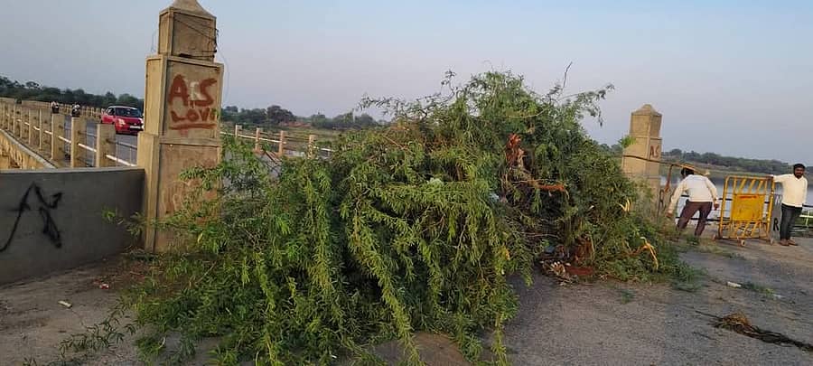 <div class="paragraphs"><p>ಅಫಜಲಪುರ ತಾಲ್ಲೂಕಿನ ಗಾಣಗಾಪುರದಲ್ಲಿ ಗುರುವಾರ ಕರೆ ನೀಡಿದ್ದ ಬಂದ್‌ಗೆ ಭೀಮಾ ನದಿ ಸೇತುವೆಯ ರಸ್ತೆಗೆ ಮುಳ್ಳು ಕಂಟಿಗಳನ್ನು&nbsp;ಬಡಿದ&nbsp;ಹೋರಾಟಗಾರರು</p><p></p></div>