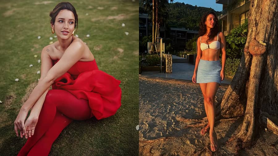 <div class="paragraphs"><p>ತೃಪ್ತಿ ಡಿಮ್ರಿ</p></div>