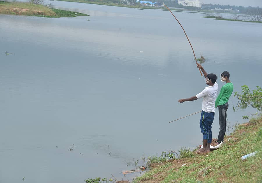 ಕೋಲಾರದ ಅಮಾನಿಕೆರೆ