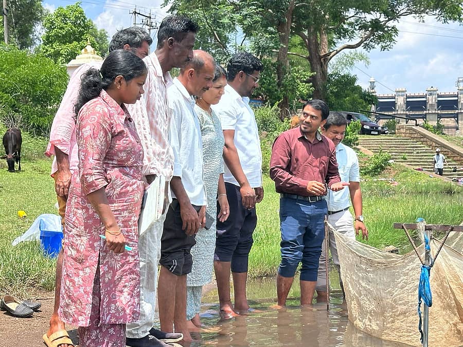 ಕುಶಾಲನಗರ ಸಮೀಪದ ಹಾರಂಗಿ ಮತ್ಸ್ಯಧಾಮಕ್ಕೆ ಮಿನುಮರಿ ಉತ್ಪಾದನಾ ಕೇಂದ್ರದಿಂದ 3,000 ಮಹಶೀರ್ ಬಲಿತ ಮೀನುಮರಿಗಳನ್ನು ಬುಧವಾರ ಬಿಡುಗಡೆ ಮಾಡಲಾಯಿತು