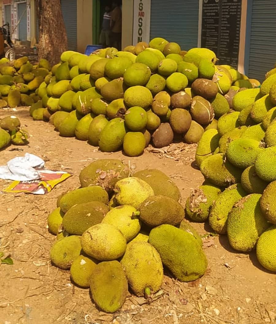 ಚೇಳೂರು ಮಾರುಕಟ್ಟೆಯಲ್ಲಿ ಹಲಸು