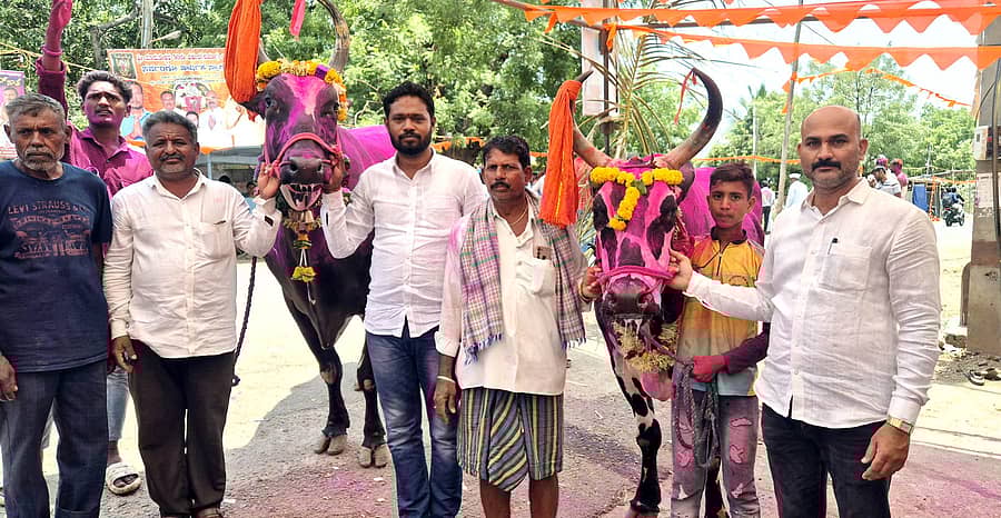 ಮುದ್ದೇಬಿಹಾಳ ತಾಲ್ಲೂಕಿನ ಹುಲ್ಲೂರು ತಾಂಡಾದ ಮಾರುತೇಶ್ವರ ಜಾತ್ರೆಯ ಅಂಗವಾಗಿ ಭಾನುವಾರ ಆಯೋಜಿಸಿದ್ದ ತೆರಬಂಡಿ ಸ್ಪರ್ಧೆಯಲ್ಲಿ ಬಹುಮಾನ ಪಡೆದ ಎತ್ತುಗಳಿಗೆ ಕಾಂಗ್ರೆಸ್ ಪಕ್ಷದ ಜಿಲ್ಲಾ ಕಾರ್ಯದರ್ಶಿ ಸಂತೋಷ ಚವ್ಹಾಣ, ಪ್ರಥಮ ದರ್ಜೆ ಗುತ್ತಿಗೆದಾರ ರಾಜು ರಾಠೋಡ ಬಹುಮಾನ ವಿತರಿಸಿದರು