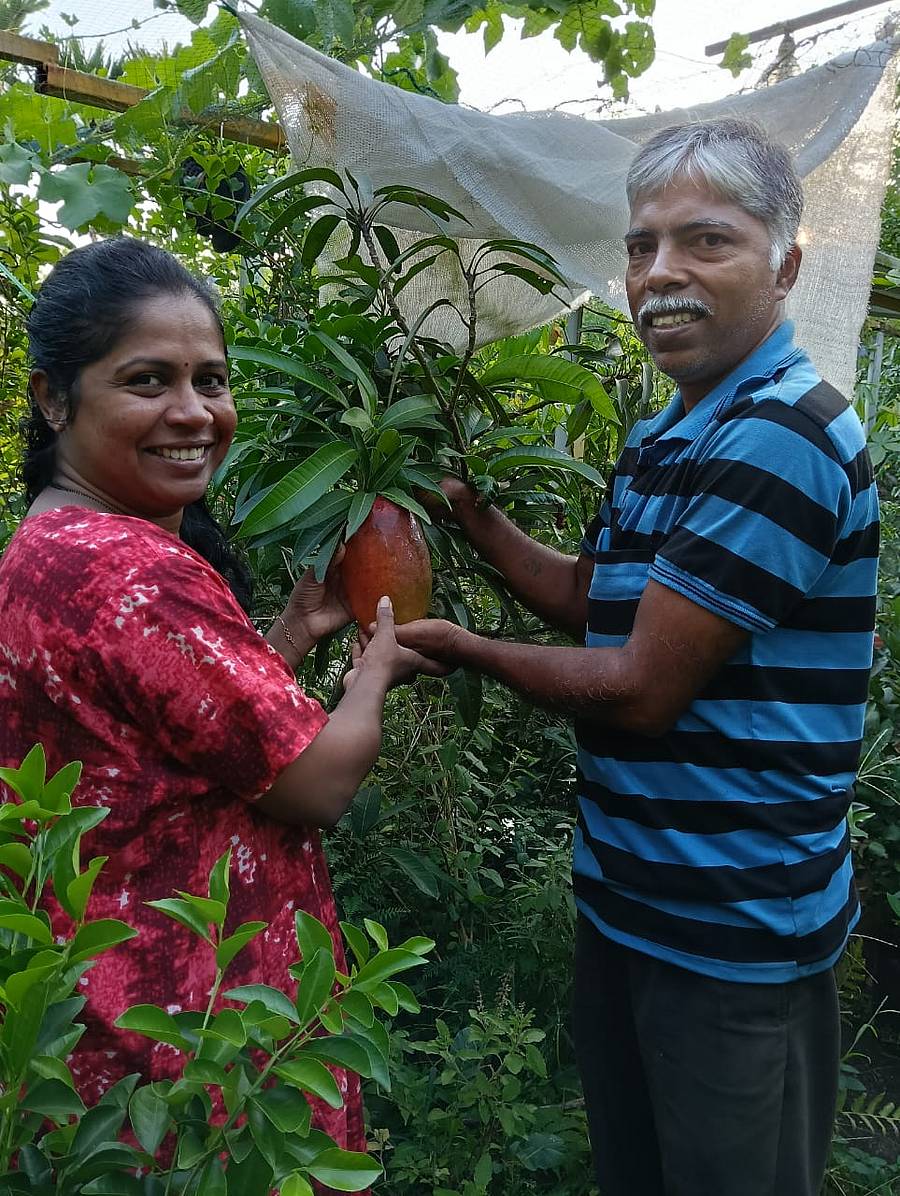 ಮಿಯಾಜಾಕಿ ಮಾವಿನಹಣ್ಣಿನೊಂದಿಗೆ ಜೋಸೆಫ್ ಮತ್ತು ನೀಮಾ