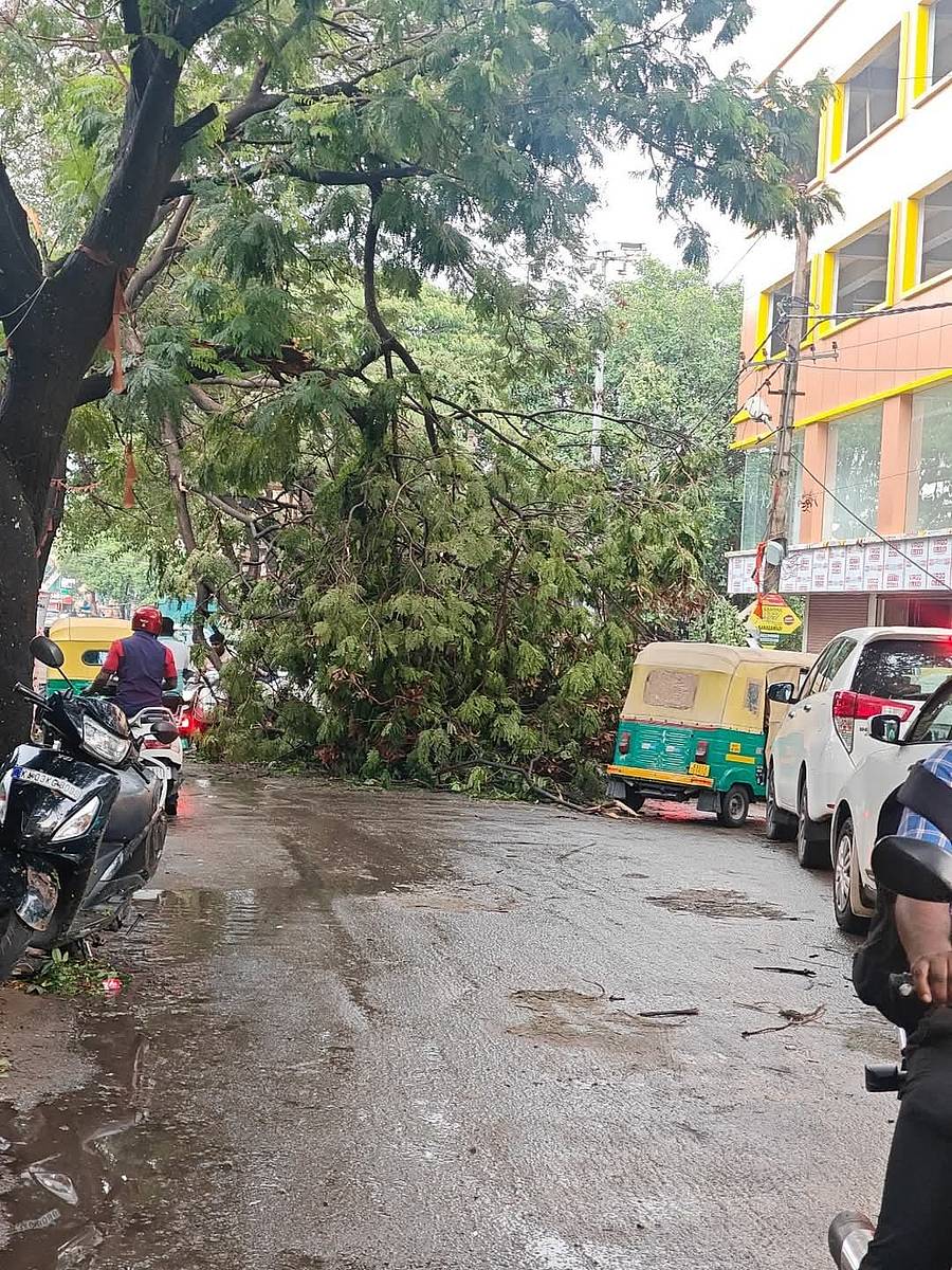 ರಾಮಮೂರ್ತಿ ನಗರದ ದೊಡ್ಡಬಾಣಸವಾಡಿ ರಸ್ತೆಯಲ್ಲಿ ಮರದ ಕೊಂಬೆ ರಸ್ತೆಗೆ ಉರುಳಿತು