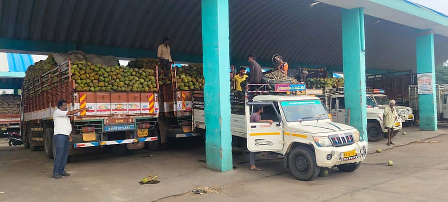ಮದ್ದೂರಿನ ಎಳನೀರು ಮಾರುಕಟ್ಟೆ