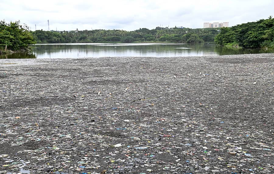 ಮೈಸೂರಿನ ಹೆಬ್ಬಾಳ ಕೆರೆಗೆ ಪ್ಲಾಸ್ಟಿಕ್ ತ್ಯಾಜ್ಯ ಸಹಿತ ಕೊಳಚೆ ನೀರು ಸೇರುತ್ತಿದ್ದು, ಹೂಳು ತುಂಬಿದೆ – ಪ್ರಜಾವಾಣಿ ಚಿತ್ರಗಳು/ ಅನೂಪ್ ರಾಘ ಟಿ.