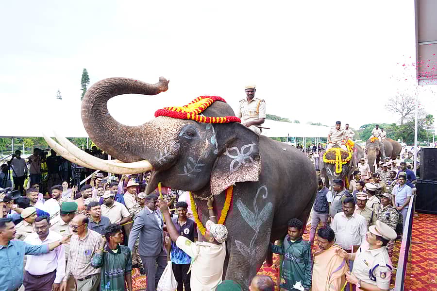 <div class="paragraphs"><p>ಆನೆಗಳು ಆಂಧ್ರಕ್ಕೆ ಹಸ್ತಾಂತರ</p></div>