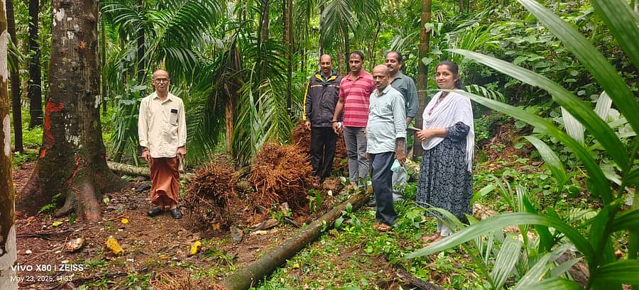 ಪುತ್ತೂರು ತಾಲ್ಲೂಕಿನ ಕೆಯ್ಯೂರು ಗ್ರಾಮದ ಅತ್ರ್ಯಡ್ಕದ ಪ್ರಸನ್ನ ಭಟ್ ಅವರ ತೋಟಕ್ಕೆ ಕಾಡಾನೆ ನುಗ್ಗಿ ಕೃಷಿ ನಾಶ ಮಾಡಿದ್ದು, ಶರತ್ಕುಮಾರ್ ಮಾಡಾವು, ನಮಿತಾ ಎ.ಕೆ., ಸುರೇಂದ್ರ ರೈ ಇಳಂತಾಜೆ, ಸತ್ಯನ್ ಶುಕ್ರವಾರ ಭೇಟಿ ನೀಡಿ ಪರಿಶೀಲನೆ ನಡೆಸಿದರು