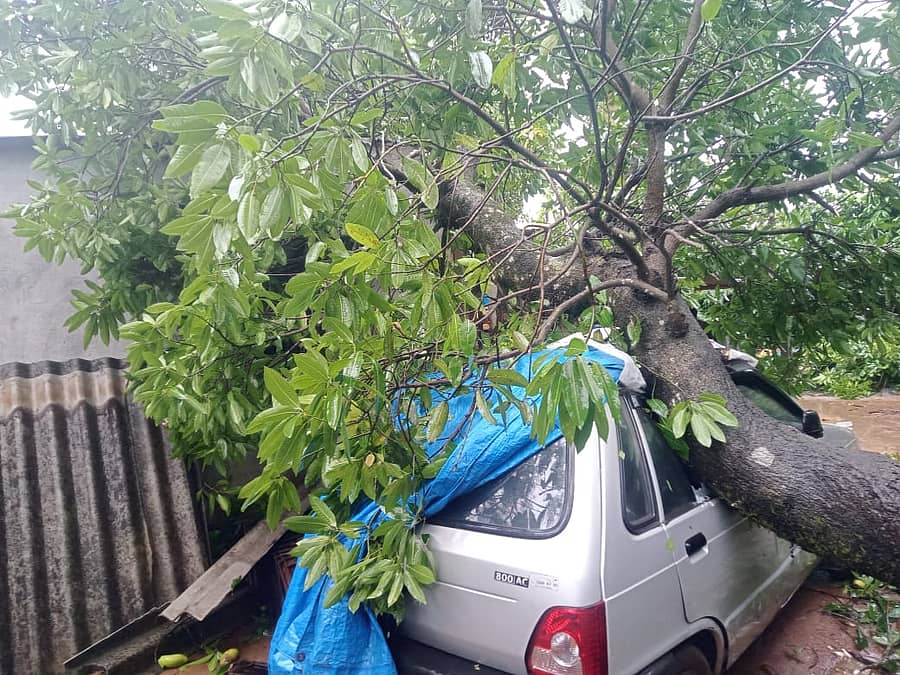 <div class="paragraphs"><p>ಮಳೆಯಿಂದಾಗಿ  ಮರ ಬಿದ್ದಿರುವ ದೃಶ್ಯ</p></div>