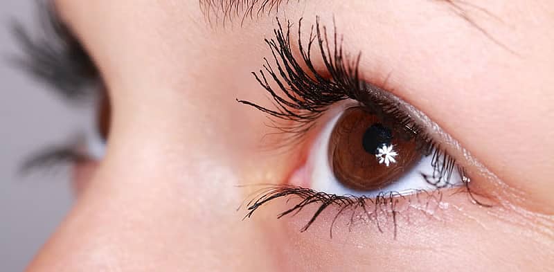 <div class="paragraphs"><p>ಸಾಂದರ್ಭಿಕ ಚಿತ್ರ</p></div>