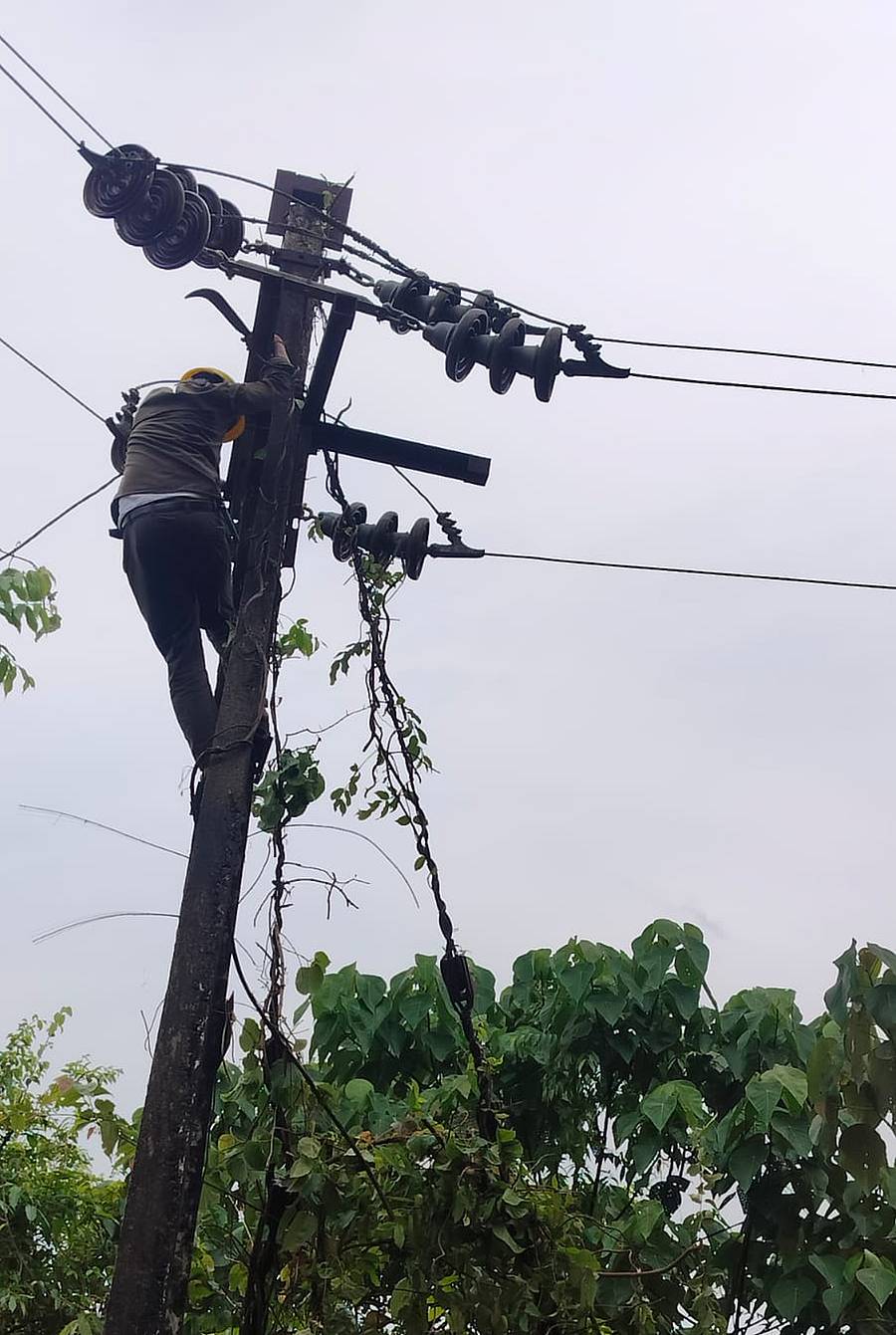 ಕಾರವಾರ ತಾಲ್ಲೂಕಿನ ಶಿರವಾಡ ಸಮೀಪ ವಿದ್ಯುತ್ ಕಂಬ ಏರಿ ದುರಸ್ತಿ ಕೆಲಸದಲ್ಲಿ ತೊಡಗಿರುವ ಲೈನ್‌ಮನ್