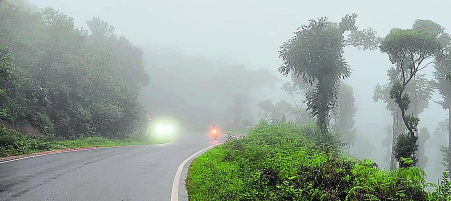 <div class="paragraphs"><p>ಚಾರ್ಮಾಡಿ ಘಾಟಿ&nbsp; –ಪ್ರಜಾವಾಣಿ ಚಿತ್ರ</p></div>