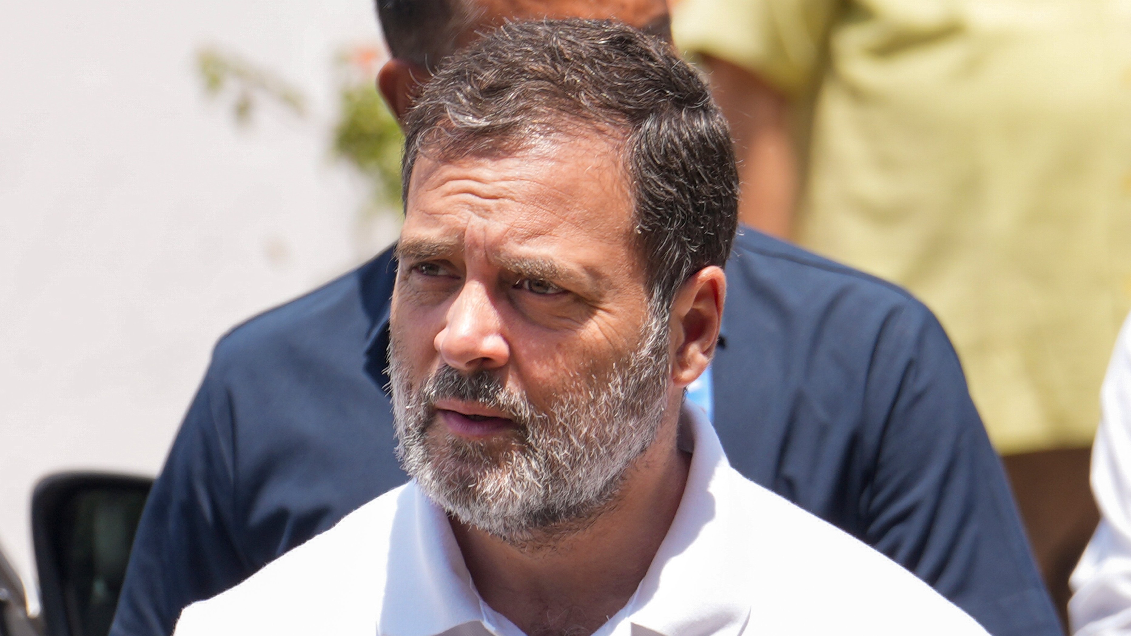 ರಾಹುಲ್ ಗಾಂಧಿ