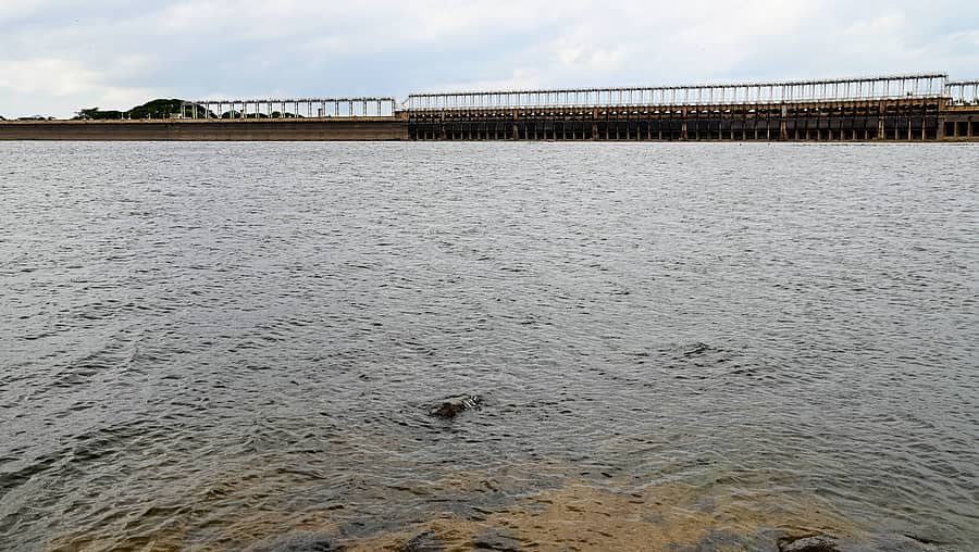 <div class="paragraphs"><p>ಮಂಡ್ಯ ಜಿಲ್ಲೆಯ ಶ್ರೀರಂಗಪಟ್ಟಣ ತಾಲ್ಲೂಕಿನ ಕೆಆರ್ಎಸ್ ಅಣೆಕಟ್ಟೆಯ ನೀರಿನ ಮಟ್ಟ ಶುಕ್ರವಾರ 100 ಅಡಿ ತಲುಪಿದೆ</p></div>