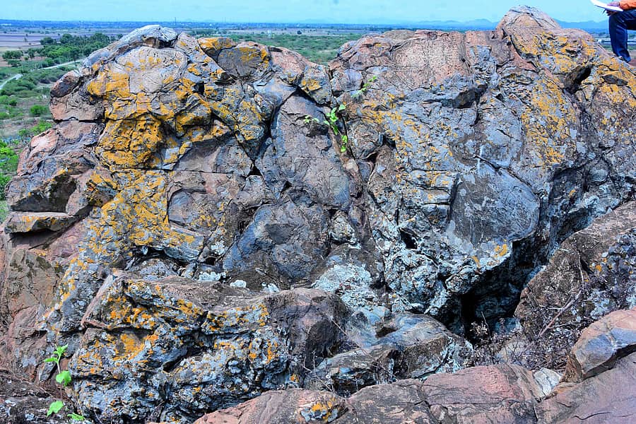 <div class="paragraphs"><p>ಮರಡಿಹಳ್ಳಿ ಗುಡ್ಡದ ಮೇಲೆ ಅರಳಿ ನಿಂತಿರುವ ಪಿಲ್ಲೊ ಲಾವಾ </p></div>