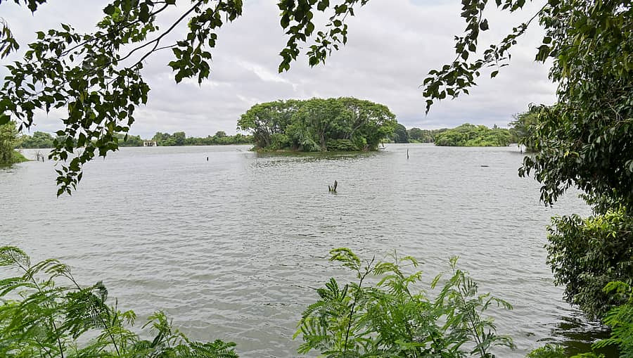 ಮೈಸೂರಿನ ಲಿಂಗಾಂಬುಧಿ ಕೆರೆಯ ಸುಂದರ ನೋಟ –ಪ್ರಜಾವಾಣಿ ಚಿತ್ರ/ಅನೂಪ್ ರಾಘ .ಟಿ.