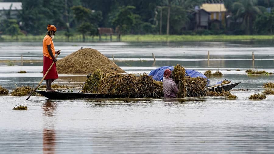 <div class="paragraphs"><p>ಅಸ್ಸಾಂನಲ್ಲಿ ಮಳೆಯಿಂದ ಬೆಳೆಗಳು ಹಾನಿಗೀಡಾಗಿವೆ</p></div>