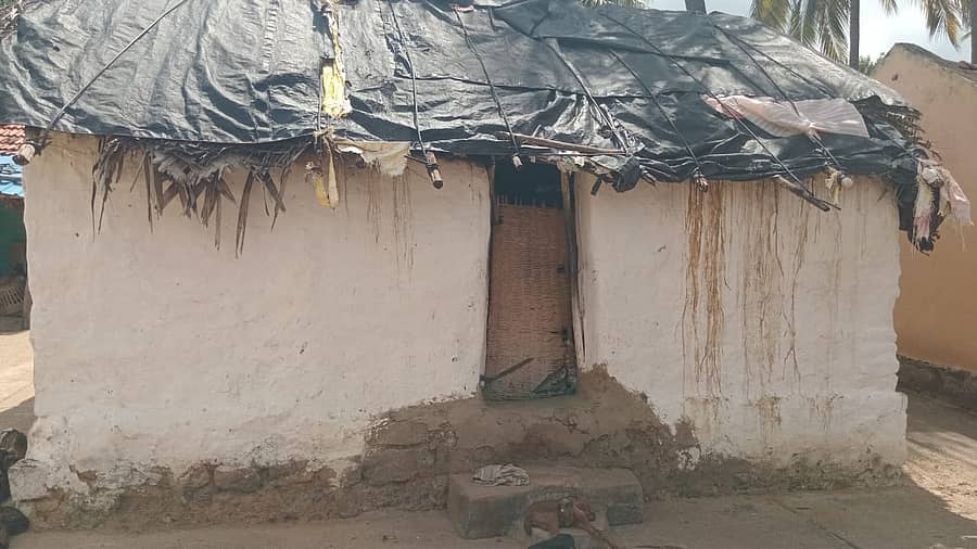ಹನೂರು ತಾಲ್ಲೂಕಿನ ಹರೇಪಾಳ್ಯದ ನಂಜೇಗೌಡರ ಜೋಪಡಿಯ ದುಸ್ಥಿತಿ