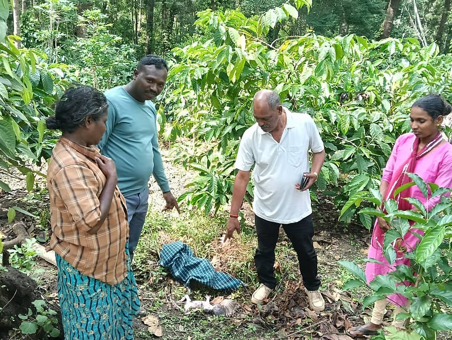 ಕುಶಾಲನಗರ ಸಮೀಪದ ಕಟ್ಟೆಹಾಡಿ ತೋಟದಲ್ಲಿ ನವಜಾತ ಶಿಶುವನ್ನು ಬಿಸಾಡಿ ಹೋಗಿರುವುದನ್ನು ಗ್ರಾಮ ಪಂಚಾಯತಿ ಸದಸ್ಯ ಆರ್.ಕೆ.ಚಂದ್ರು ಹಾಗೂ ಗ್ರಾಮಸ್ಥರು ಪರಿಶೀಲನೆ ನಡೆಸಿದರು.