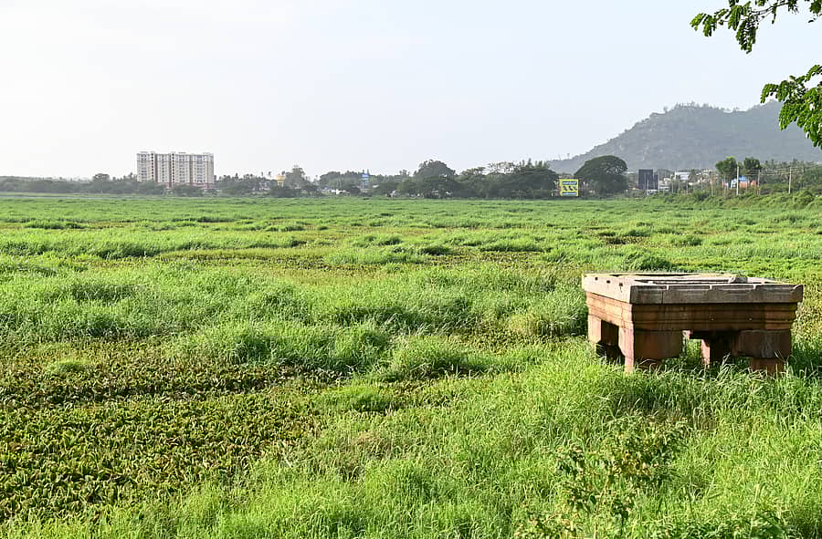 <div class="paragraphs"><p>ಮೈಸೂರಿನ ಊಟಿ ರಸ್ತೆಯಲ್ಲಿರುವ ಗೆಜ್ಜಗಳ್ಳಿ– ಕುಪ್ಪಲೂರು ಗ್ರಾಮದಲ್ಲಿರುವ ದಳವಾಯಿ ಕೆರೆಯ ನೋಟ</p></div>