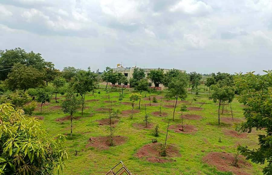 ಹಸಿರು ಹೊದ್ದುಕೊಂಡ ಬೀದರ್ ತಾಲ್ಲೂಕಿನ ಬಗದಲ್ ಗ್ರಾಮದ ಮೊರಾರ್ಜಿ ದೇಸಾಯಿ ವಸತಿ ಶಾಲೆ