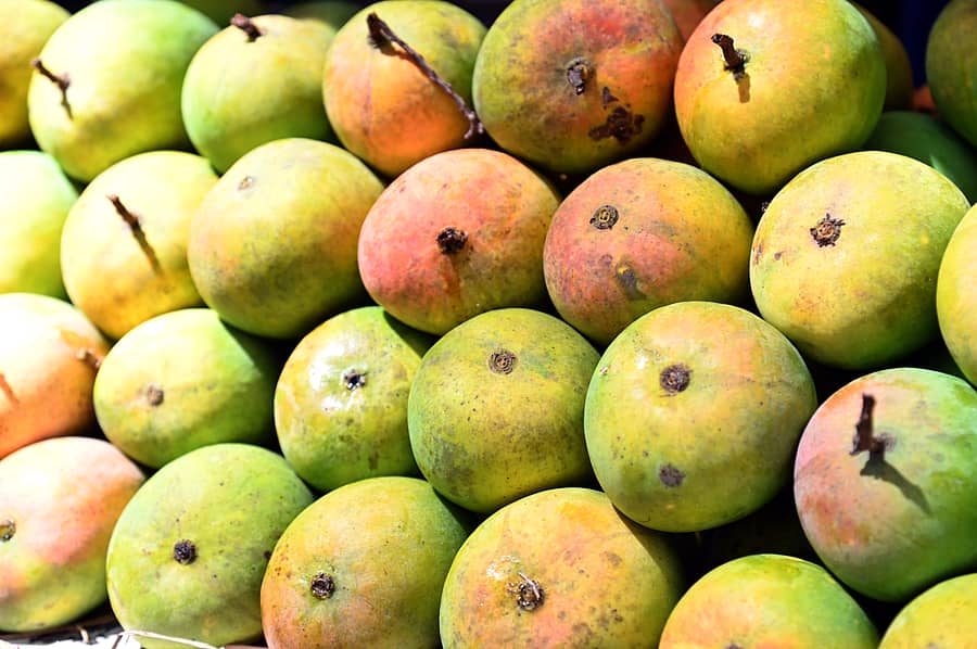 ಮಾವು (ಸಂಗ್ರಹ ಚಿತ್ರ)