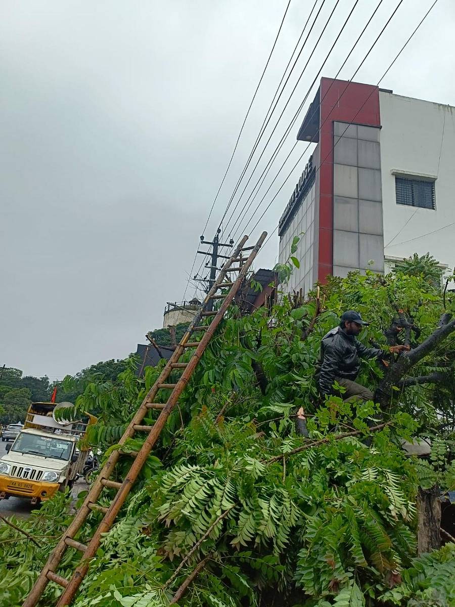 <div class="paragraphs"><p>ಸಾಂದರ್ಭಿಕ ಚಿತ್ರ</p></div>