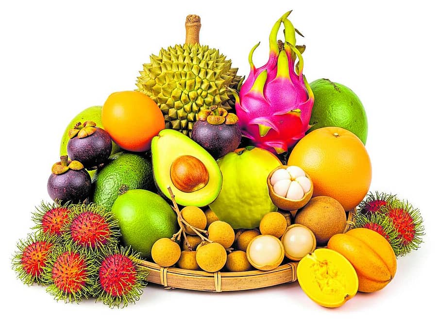 <div class="paragraphs"><p>ವಿದೇಶಿ ಹಣ್ಣುಗಳ ದಿಬ್ಬಣ</p></div>